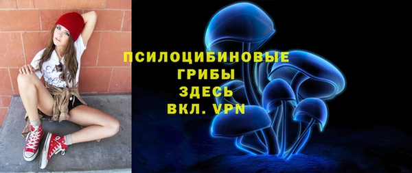 гидра Вязники