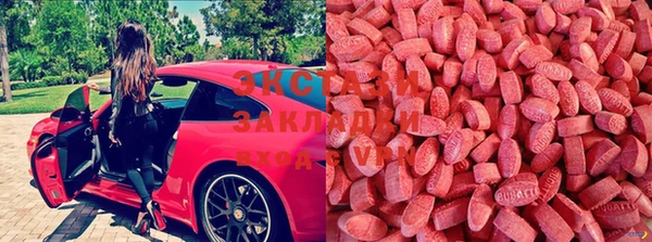 гидра Вязники