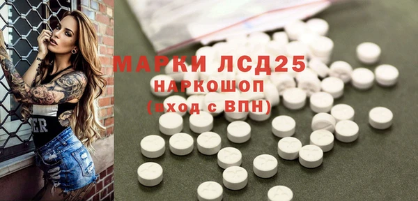 гидра Вязники