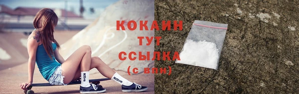 гидра Вязники