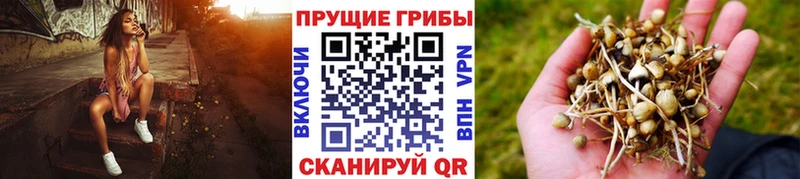 Псилоцибиновые грибы Magic Shrooms  мориарти официальный сайт  Могоча 